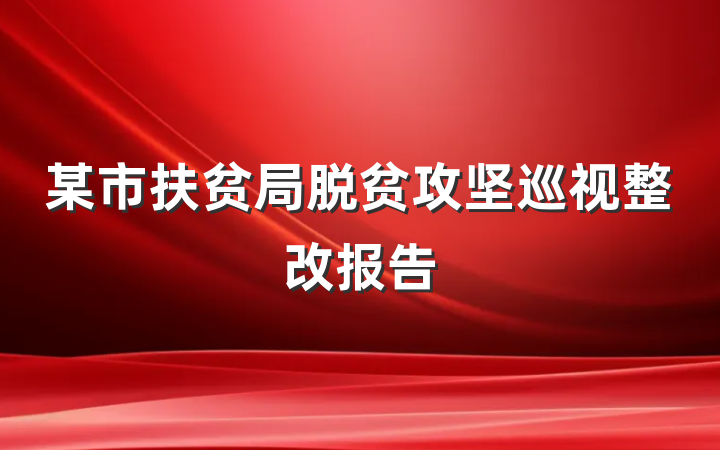 某市扶贫局脱贫攻坚巡视整改报告