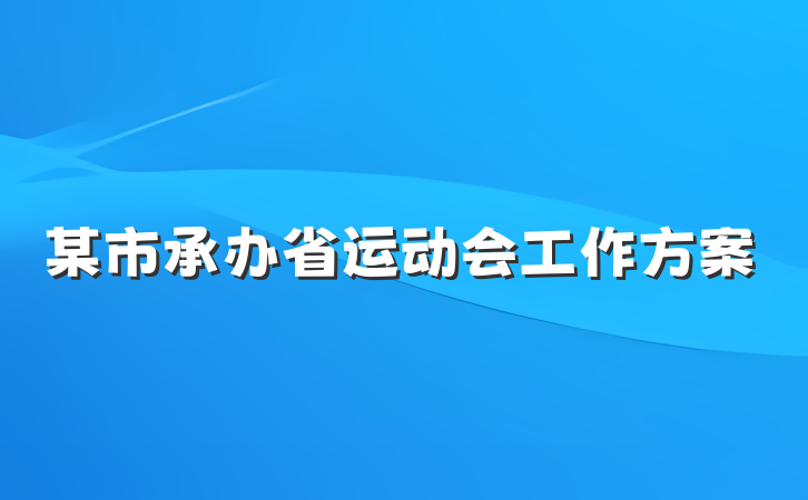 某市承办省运动会工作方案