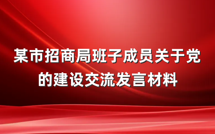 某市招商局班子成员关于党的建设交流发言材料
