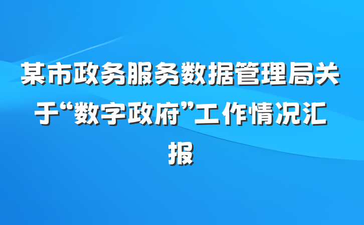 某市政务服务数据管理局关于“数字政府”工作情况汇报