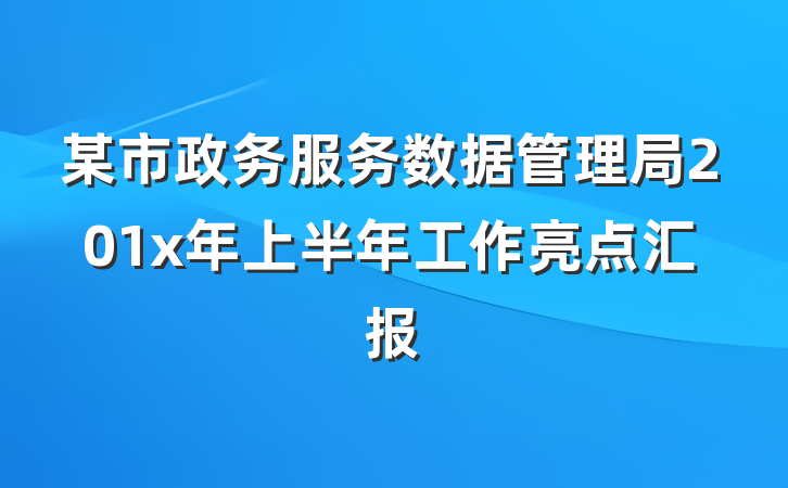 某市政务服务数据管理局201x年上半年工作亮点汇报