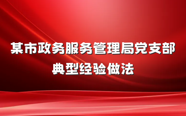 某市政务服务管理局党支部典型经验做法