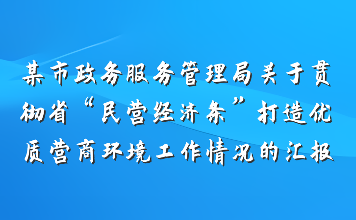 某市政务服务管理局关于贯彻省“民营经济条”打造优质营商环境工作情况的汇报