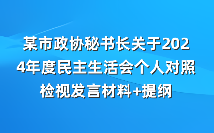 某市政协秘书长关于2024年度民主生活会个人对照检视发言材料 提纲