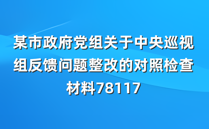 某市政府党组关于中央巡视组反馈问题整改的对照检查材料78117