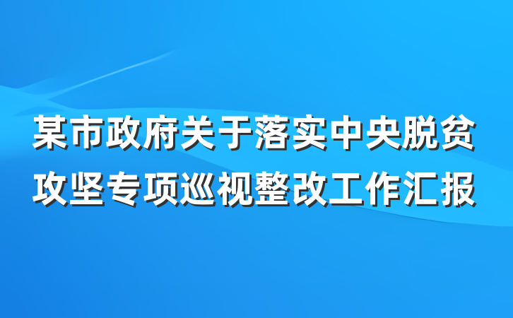 某市政府关于落实中央脱贫攻坚专项巡视整改工作汇报