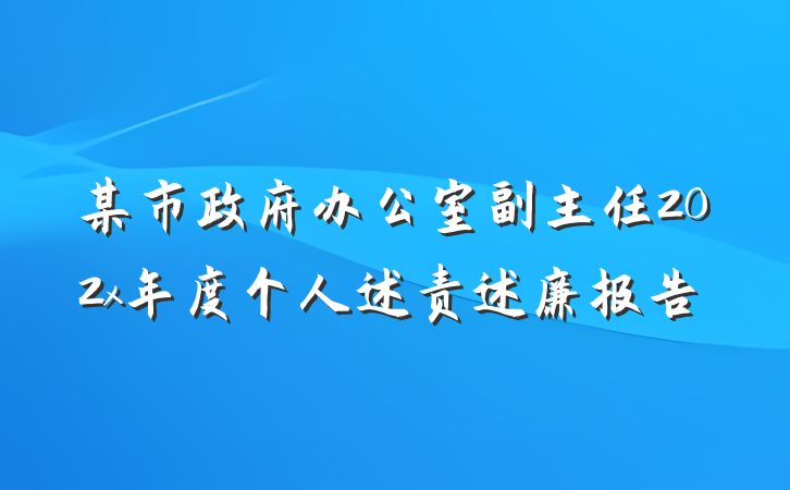 某市政府办公室副主任202x年度个人述责述廉报告