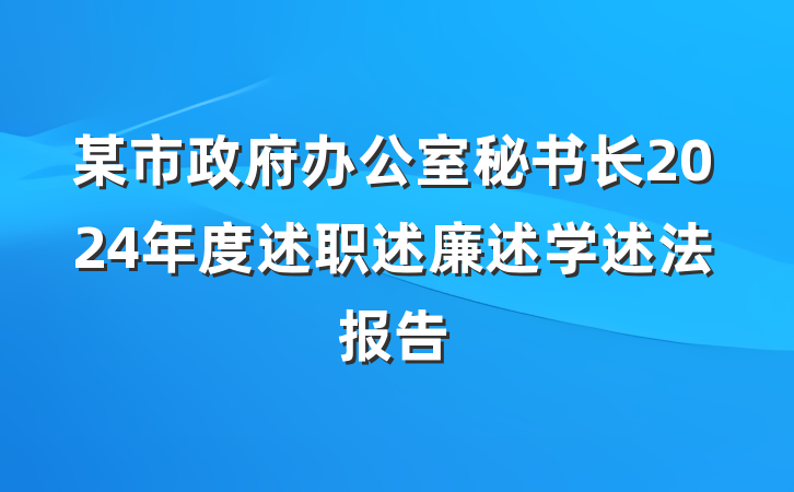 某市政府办公室秘书长2024年度述职述廉述学述法报告