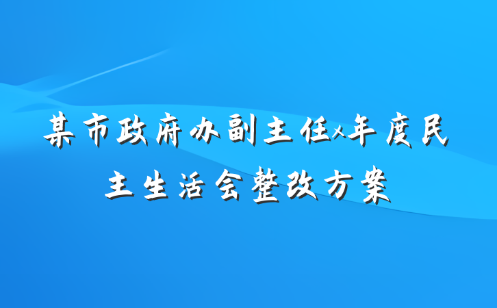 某市政府办副主任x年度民主生活会整改方案