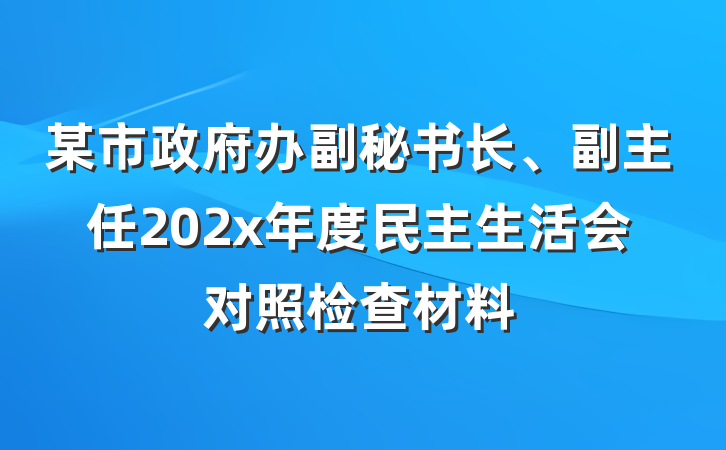 某市政府办副秘书长、副主任202x年度民主生活会对照检查材料