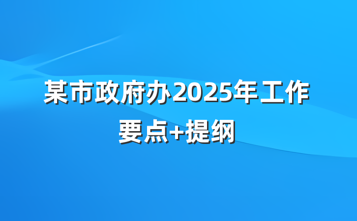某市政府办2025年工作要点 提纲