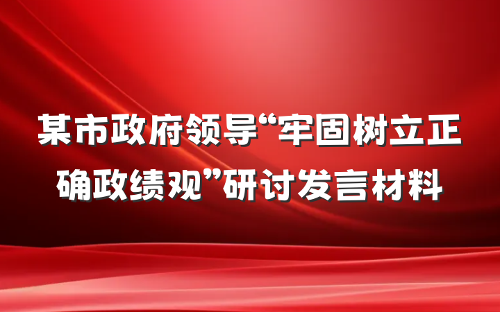 某市政府领导“牢固树立正确政绩观”研讨发言材料