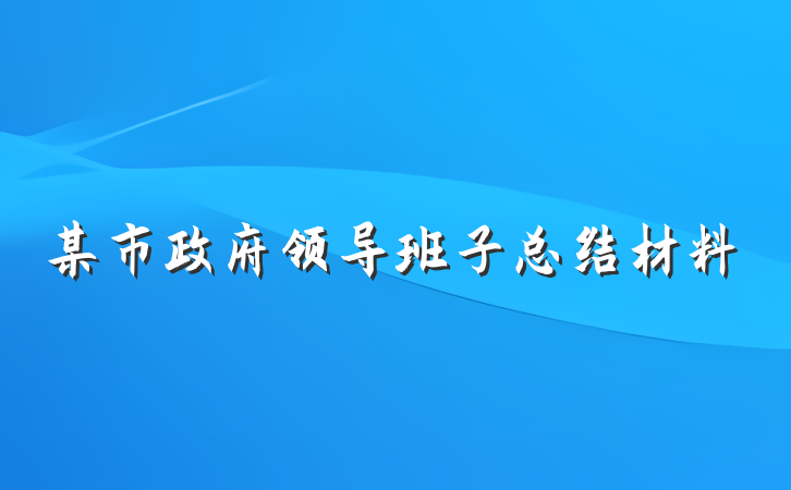 某市政府领导班子总结材料