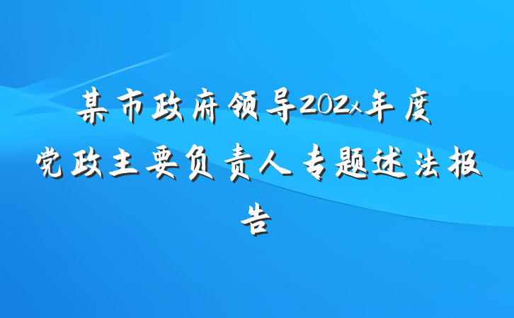 某市政府领导202x年度党政主要负责人专题述法报告