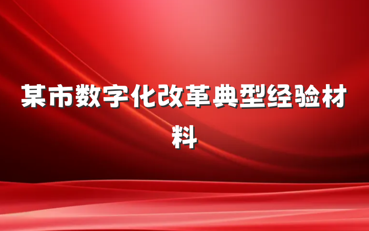 某市数字化改革典型经验材料