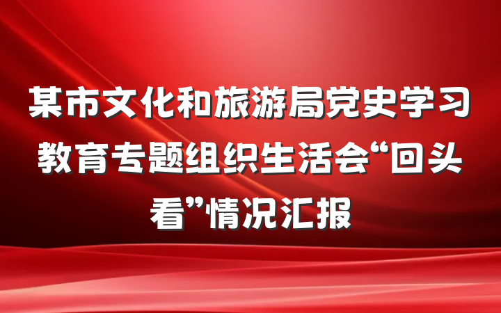 某市文化和旅游局党史学习教育专题组织生活会“回头看”情况汇报