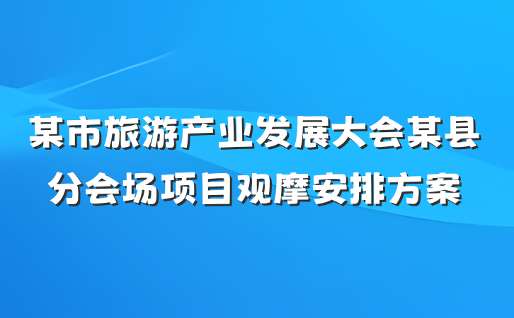 某市旅游产业发展大会某县分会场项目观摩安排方案