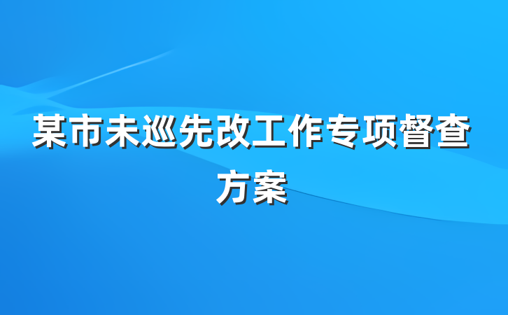 某市未巡先改工作专项督查方案
