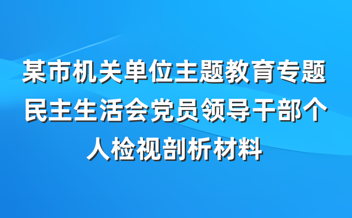 某市机关单位主题教育专题民主生活会党员领导干部个人检视剖析材料