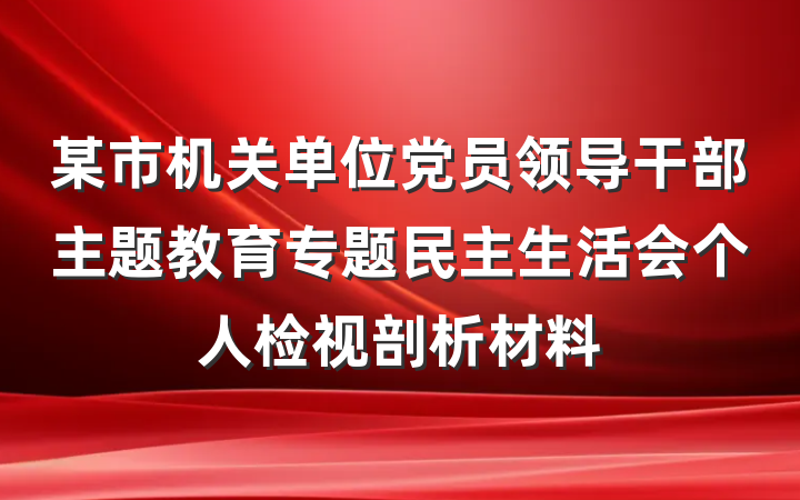 某市机关单位党员领导干部主题教育专题民主生活会个人检视剖析材料