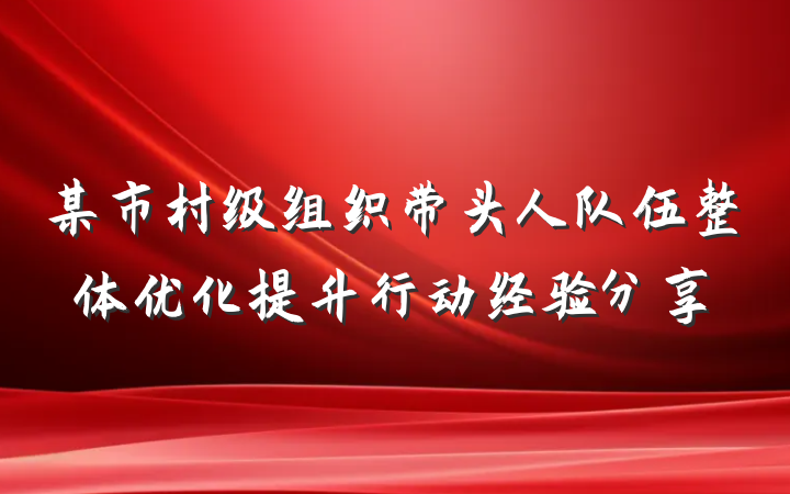 某市村级组织带头人队伍整体优化提升行动经验分享