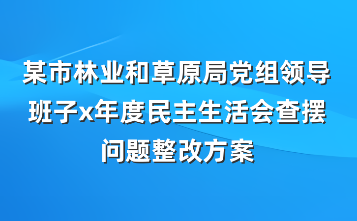 某市林业和草原局党组领导班子x年度民主生活会查摆问题整改方案