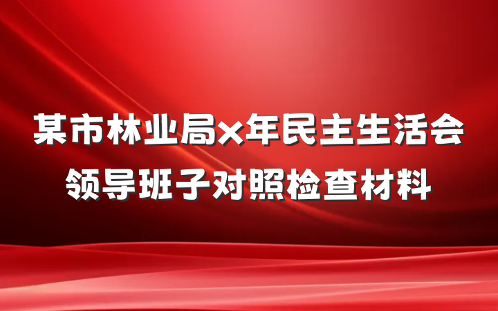 某市林业局x年民主生活会领导班子对照检查材料