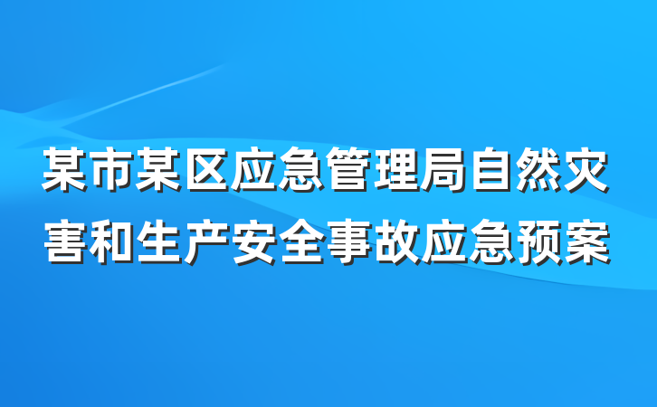某市某区应急管理局自然灾害和生产安全事故应急预案
