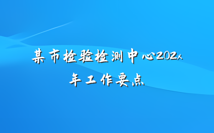 某市检验检测中心202x年工作要点