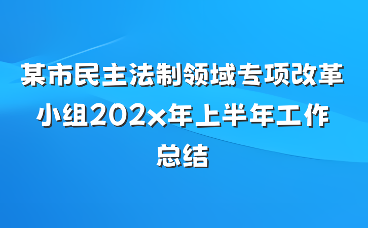 某市民主法制领域专项改革小组202x年上半年工作总结