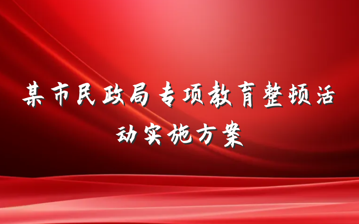 某市民政局专项教育整顿活动实施方案