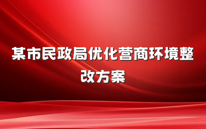 某市民政局优化营商环境整改方案