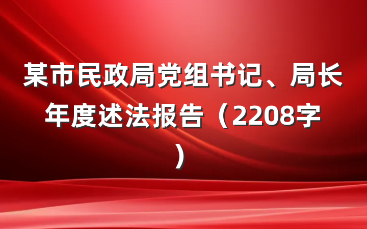 某市民政局党组书记、局长年度述法报告（2208字）