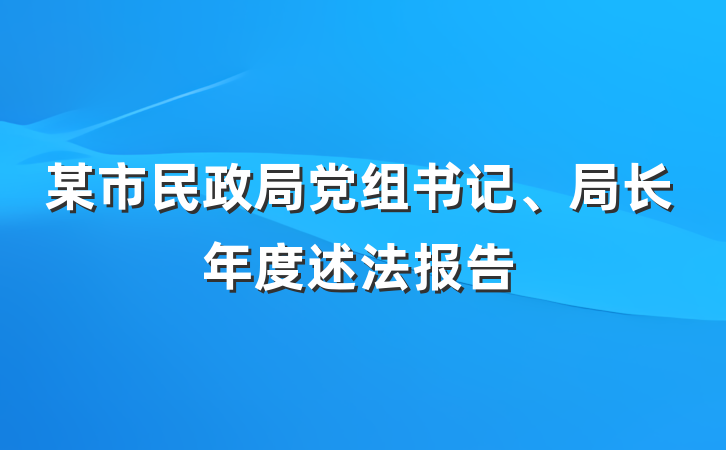 某市民政局党组书记、局长年度述法报告