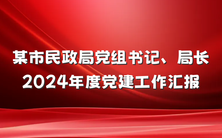 某市民政局党组书记、局长2024年度党建工作汇报