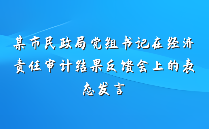 某市民政局党组书记在经济责任审计结果反馈会上的表态发言