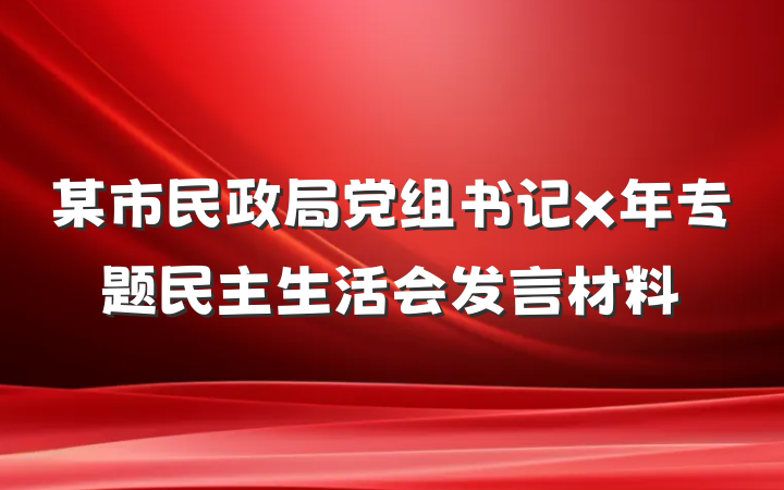 某市民政局党组书记x年专题民主生活会发言材料