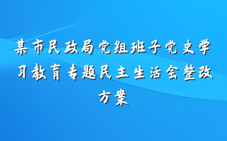 某市民政局党组班子党史学习教育专题民主生活会整改方案