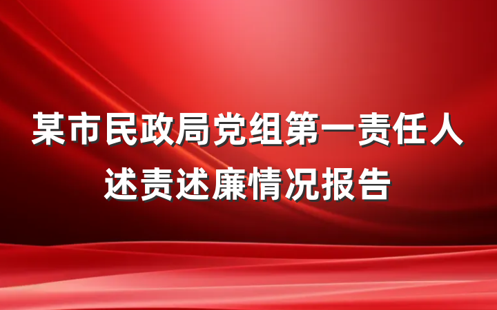 某市民政局党组第一责任人述责述廉情况报告