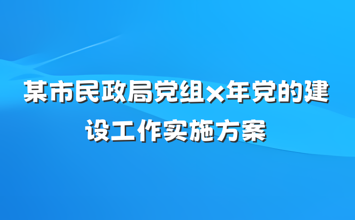 某市民政局党组x年党的建设工作实施方案