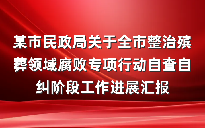 某市民政局关于全市整治殡葬领域腐败专项行动自查自纠阶段工作进展汇报