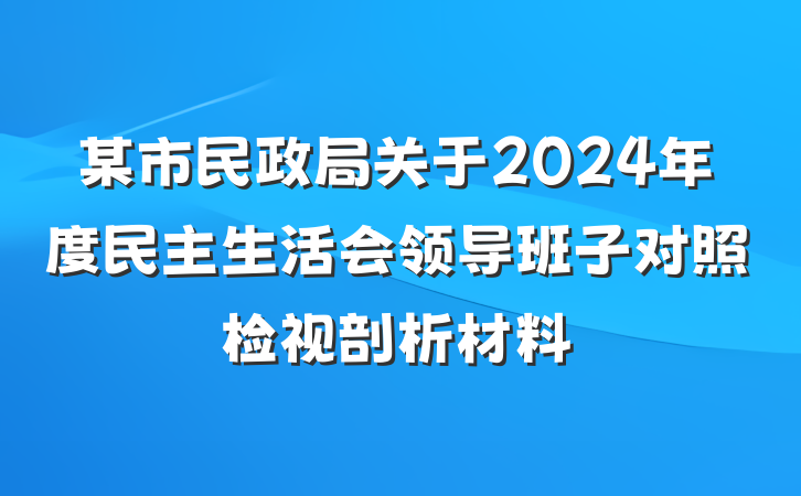 某市民政局关于2024年度民主生活会领导班子对照检视剖析材料