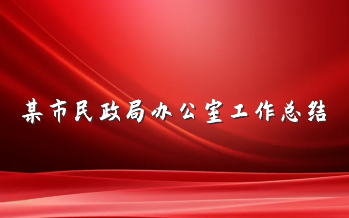 某市民政局办公室工作总结