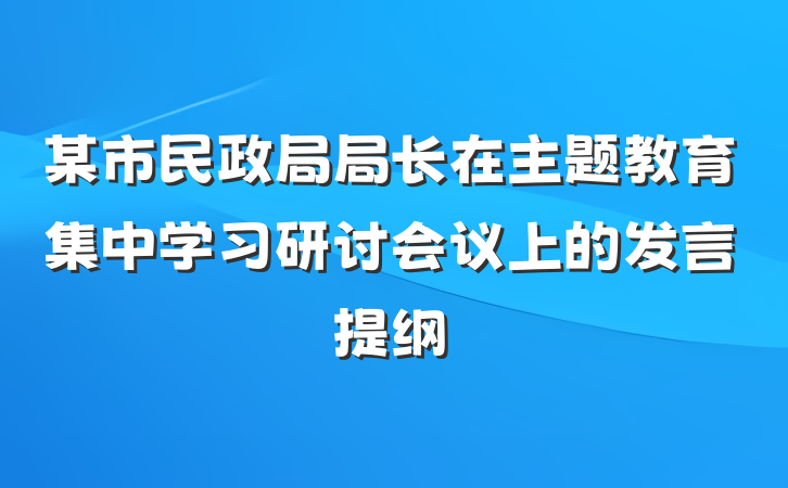 某市民政局局长在主题教育集中学习研讨会议上的发言提纲