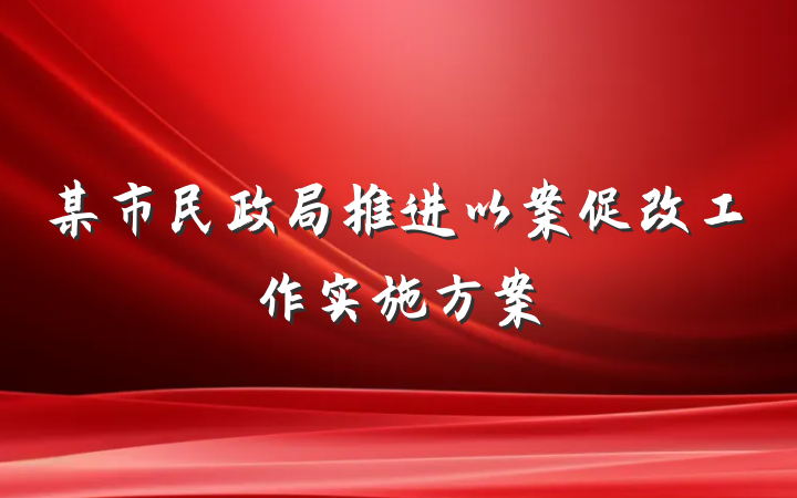 某市民政局推进以案促改工作实施方案