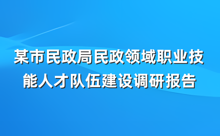 某市民政局民政领域职业技能人才队伍建设调研报告