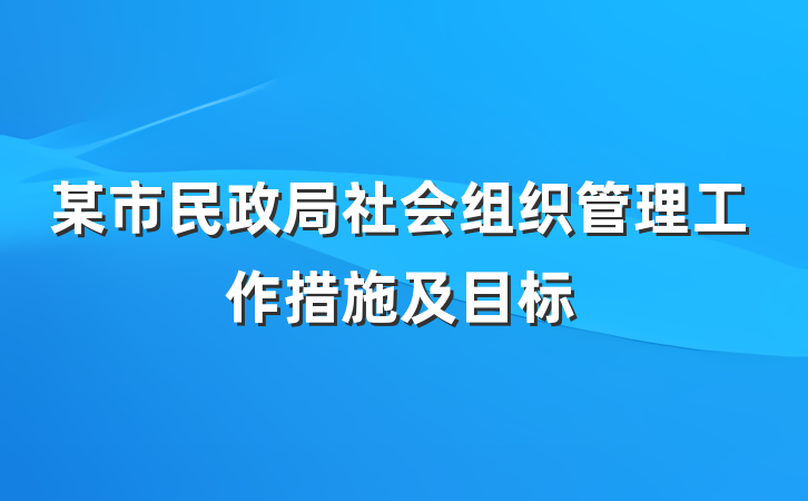 某市民政局社会组织管理工作措施及目标