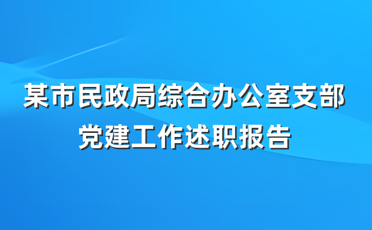 某市民政局综合办公室支部党建工作述职报告