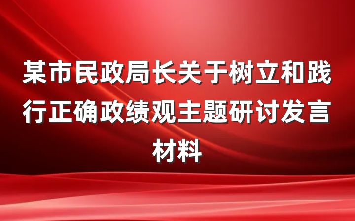 某市民政局长关于树立和践行正确政绩观主题研讨发言材料