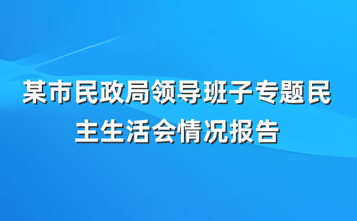 某市民政局领导班子专题民主生活会情况报告
